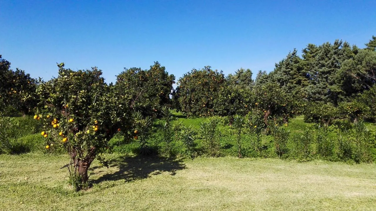 Tenuta San Calogero Appartamento Salvia Agnone Bagni Apartmán