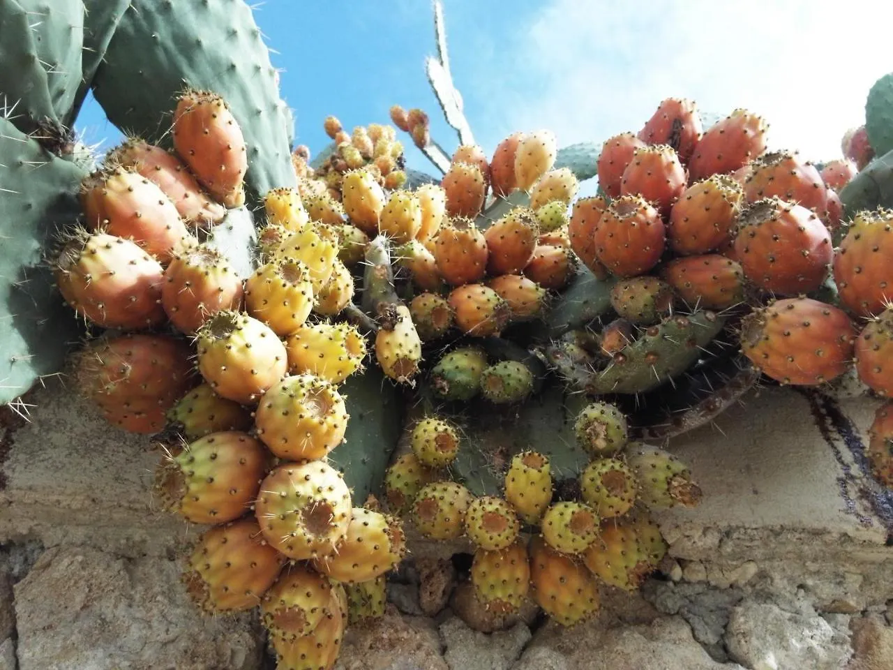 Tenuta San Calogero Appartamento Salvia Agnone Bagni Apartmán